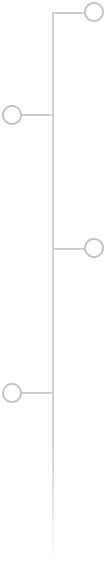 A vertical, light gray line with four horizontal branches, each ending in an empty gray circle, forming a simple timeline or process chart on a white background.